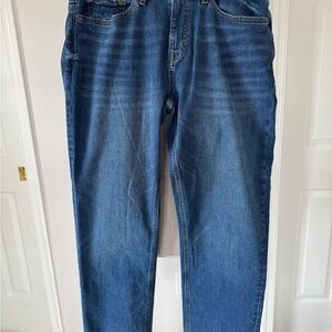 Banana Republic Men's Straight Luxe Traveler Blue Jeans